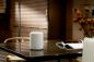 Preview: WiiM Sound LITE Smart Speaker (Weiss)