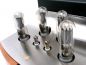 Mobile Preview: UNISON RESEARCH REFERENCE MONO Power Amplifiers (Detail)