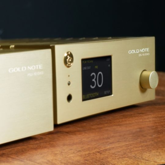 GOLD NOTE DS-10 EVO LINE