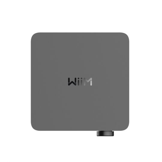 WiiM AMP Ultra (Detail)