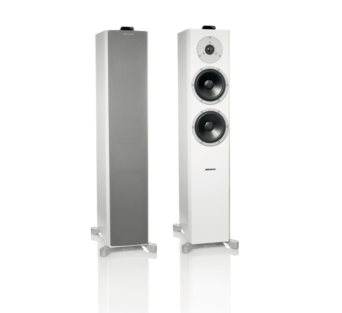 dynaudio xeo 6 price