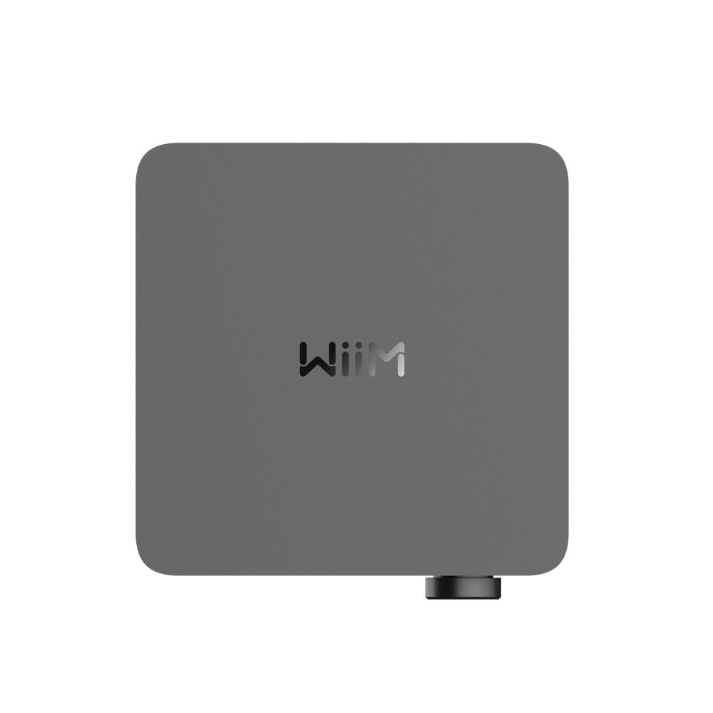 WiiM AMP Ultra (Detail)