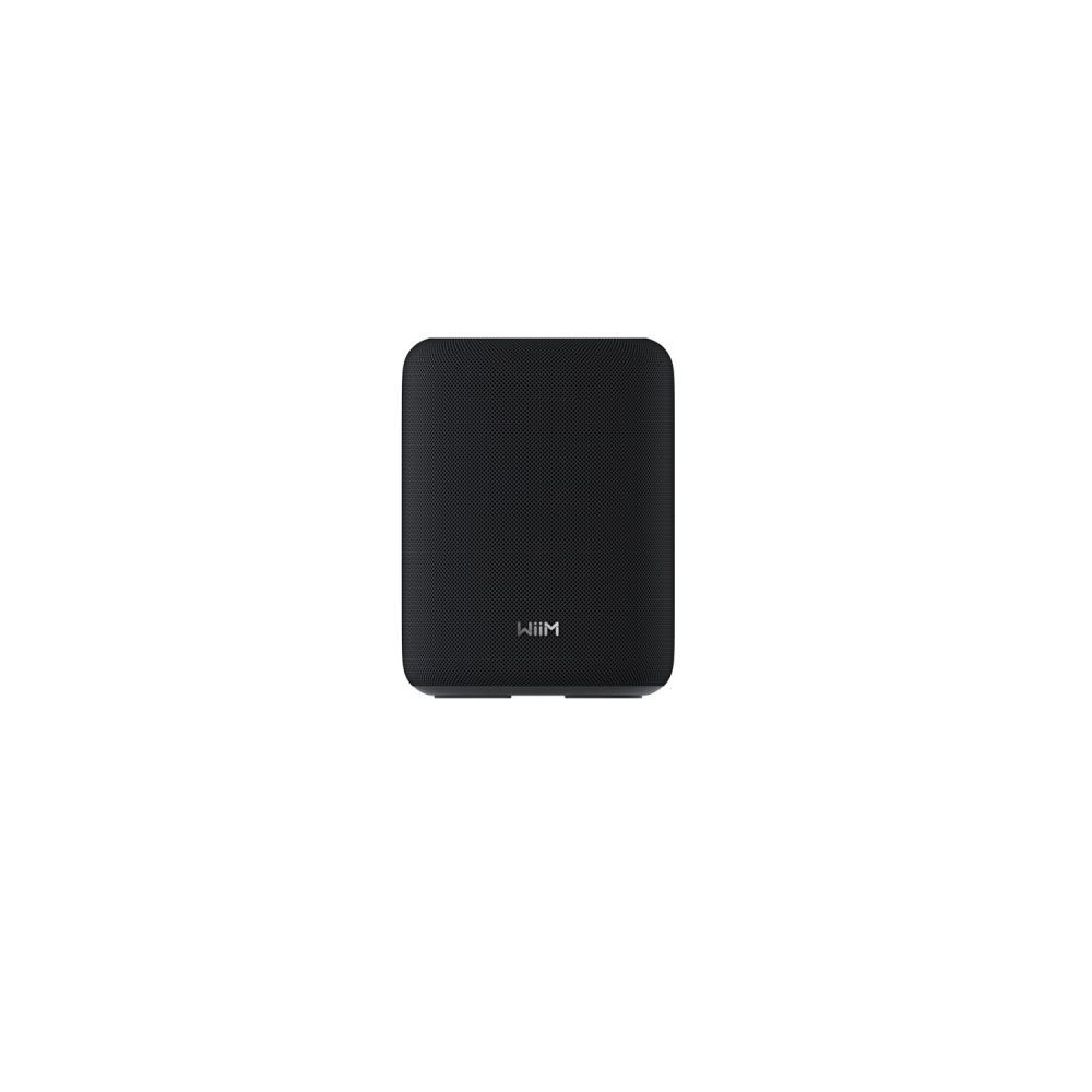 WiiM Sound LITE, Smart Lautsprecher