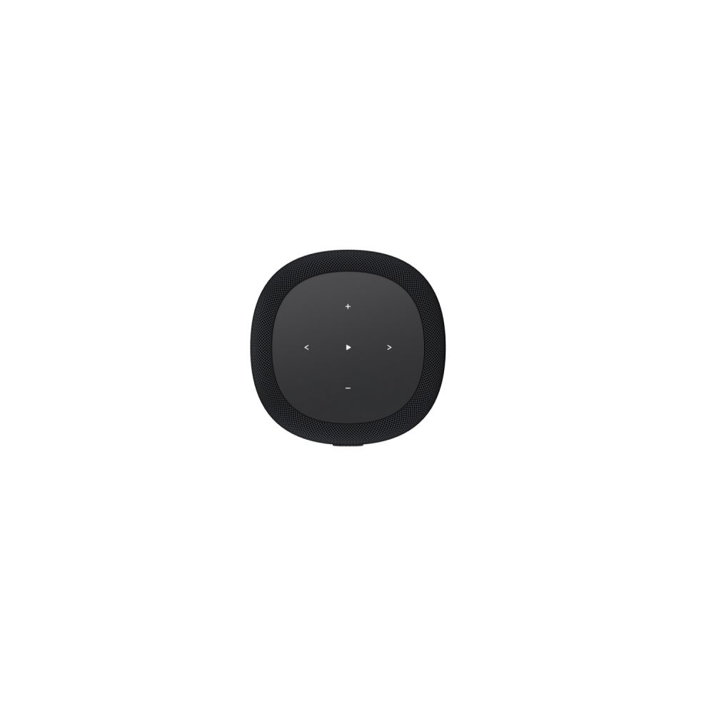 WiiM Sound LITE, Streaming Lautsprecher