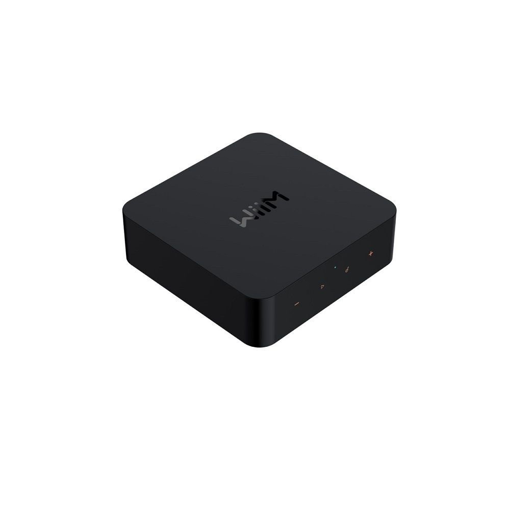 WiiM Pro-Plus, High-Res-Streamer (Rear)