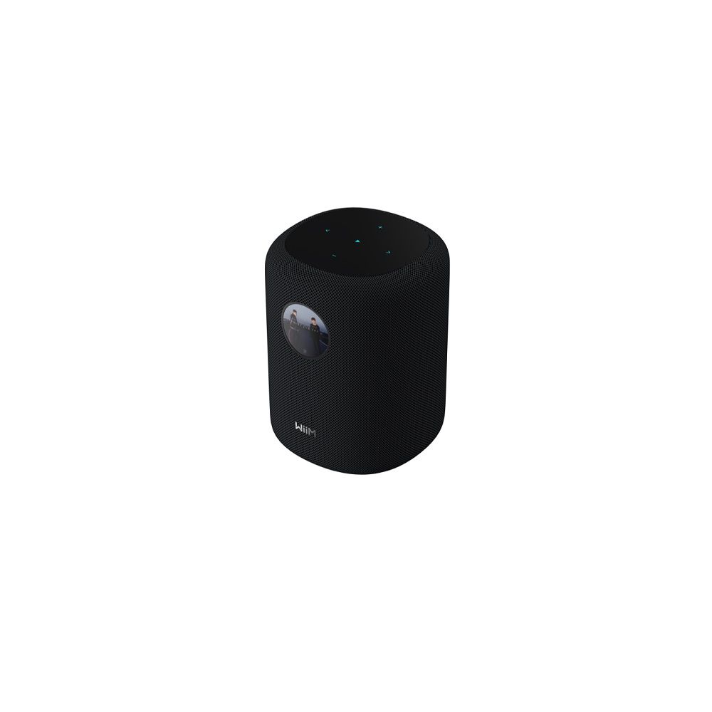 WiiM Sound Smart Lautsprecher