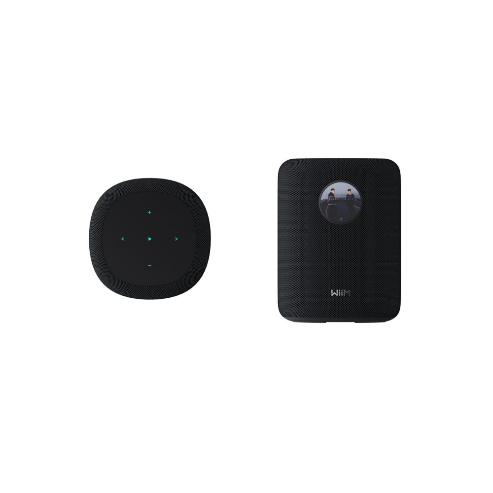 WiiM Sound Smart Lautsprecher