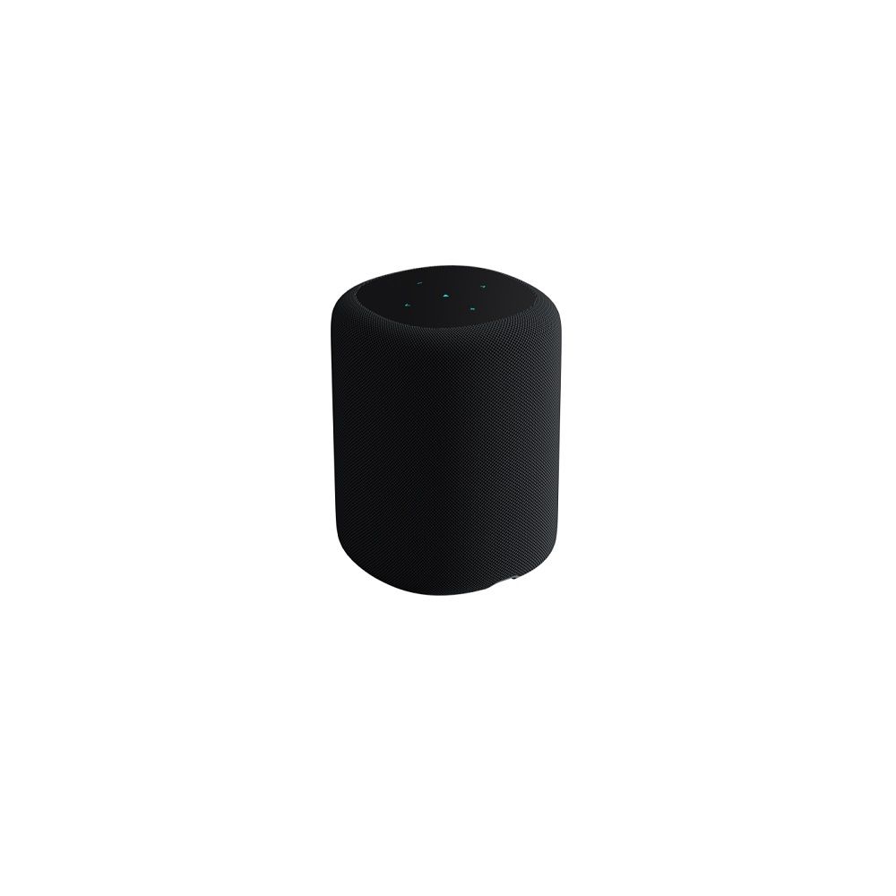 WiiM Sound Streaming Lautsprecher