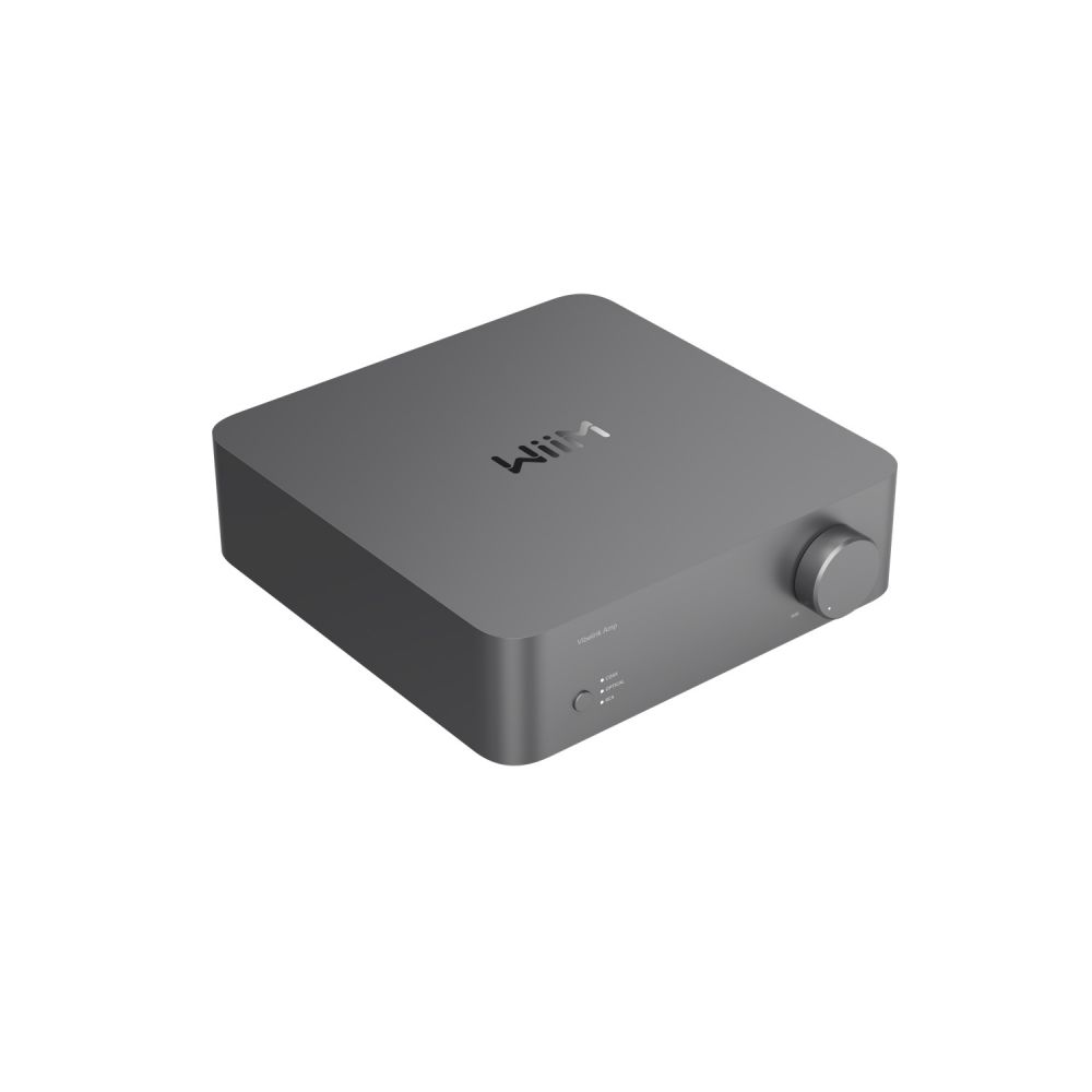 WiiM Vibelink AMP (Detail)