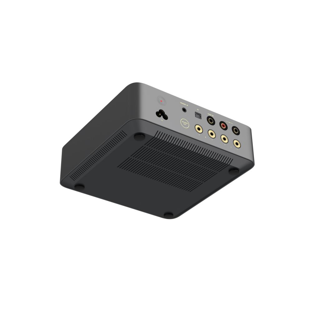 WiiM Vibelink AMP (Detail)